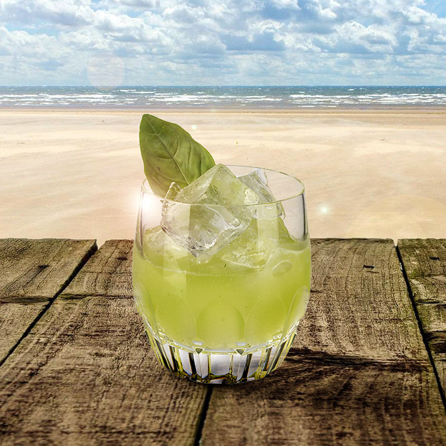 THE SUMMER HUMMER